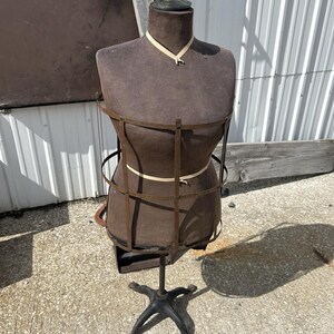 lemon mini dress Saddler Mini Dress Lemon