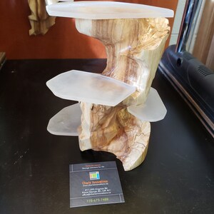 Puede incluir: Un expositor de madera de tres niveles con estantes de vidrio transparente. El expositor está hecho de madera natural con un patrón de veta único. El expositor es perfecto para exhibir artículos pequeños, como joyas, cristales u otros objetos de colección.