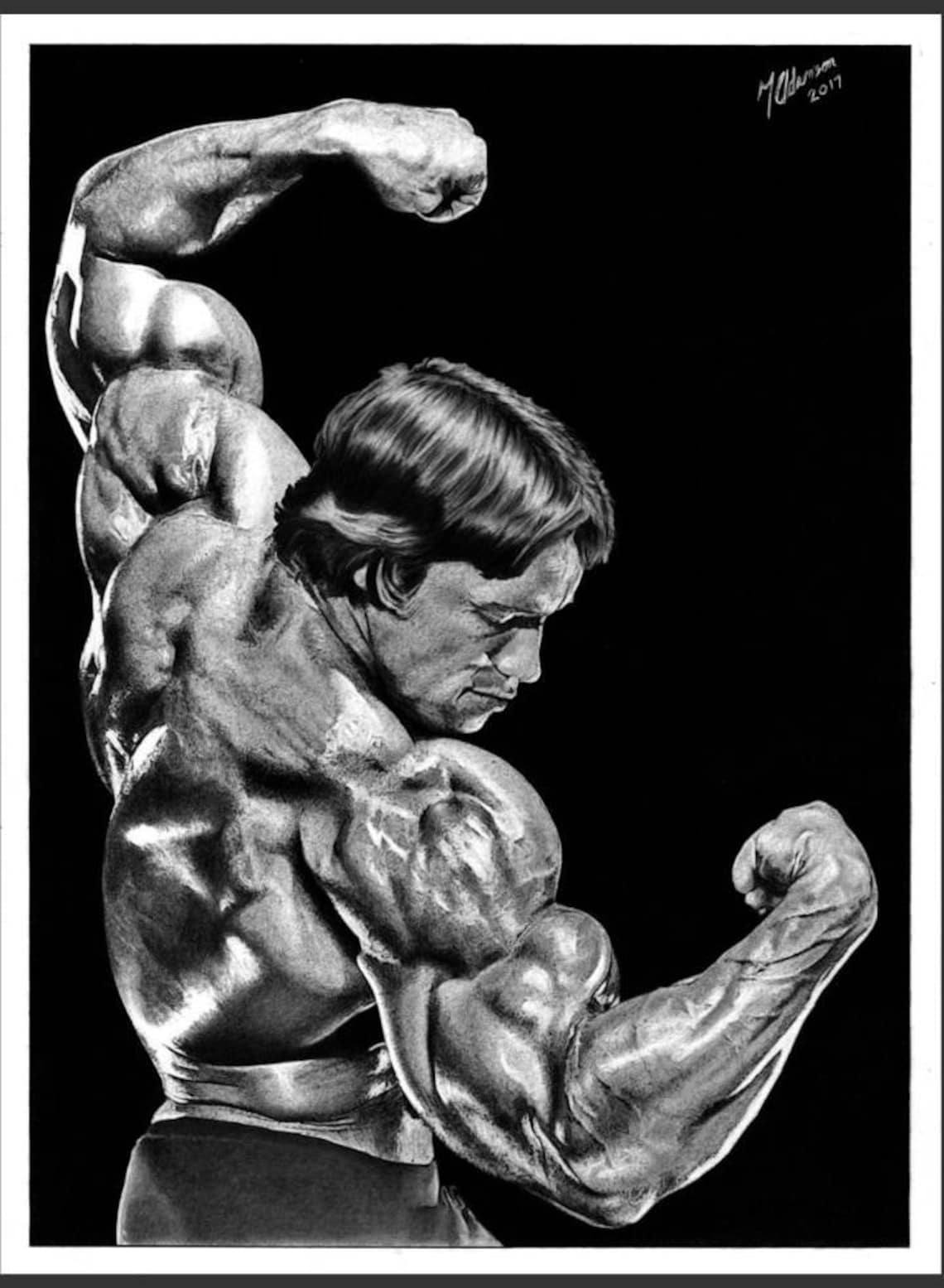 Arnold Schwarzenegger graphite pencil drawing giclee print on Etsy