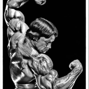 Art print, Arnold Schwarzenegger graphite pencil drawing, Wall art, Fan art