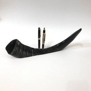 Turning Pen Holder Stand, 8 holes pen holder Water Buffalo Horn Pen Display Organizer, Pen Collectors Gift, Pen Tray, Gift For Pen Collector