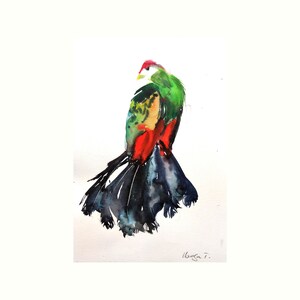 Turaco crestato rosso, piume colorate, arte murale di uccelli, dipinto ad acquerello, opera d'arte originale firmata, decorazione murale senza cornice, natura, fauna selvatica