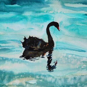 Cigno nero, dipinto ad acquerello sulla natura, opera d'arte originale firmata, decorazione da parete blu turchese, uccello, animale, senza cornice, 35 x 27 cm