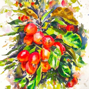 Mele selvatiche, arte murale naturalistica, dipinto ad acquerello originale firmato, illustrazione di frutta, decorazione murale senza cornice rosso-verde, raccolto, 15 x 22 pollici