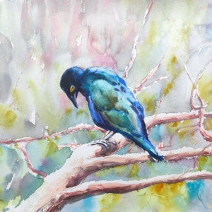 Glossy Purple starling, Sad bird, Signed Original Art, Watercolour Wildlife Painting, Animal Portrait, unframed Wall Decor, 16 x 12 in