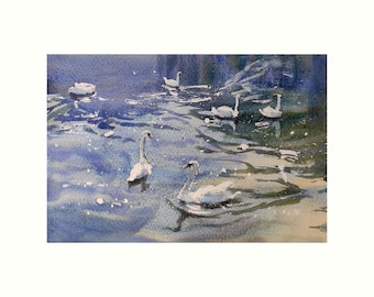 Swan lake, Original watercolour wildlife painting, Realistic swans fine art wall hanging, Collectible bird wall art, unframed 31 x 21 cm