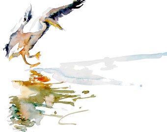 May include: Watercolor painting of a pelican in flight, landing on a body of water. The pelican is brown and gray with a long beak. The water is a light blue and green color.
