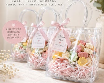 Girls Sweet Filled Handbag Party Favours | Kids Birthday Party Bags | Gummy & Fizzy Sweets