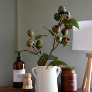 Op de afbeelding: Een witte keramische vaas met twee handvatten, gevuld met een groene, bladerrijke tak met kleine groene en bruine vruchten. De vaas staat op een houten oppervlak met een bruine fles en een houten borstel.