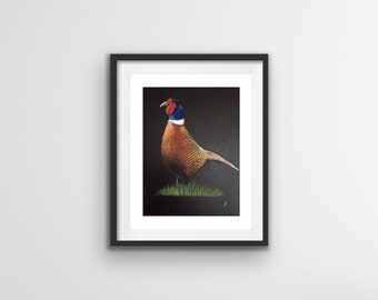 Fine art majestic pheasant print, pastel, wildlife art Charlotte Smyth Art