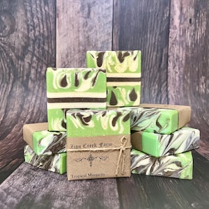 Può includere: Una pila di saponette fatte a mano con un design marmorizzato verde e marrone. Ogni saponetta è avvolta in carta marrone e legata con spago. L'etichetta recita "Zion Creek Farm Tropical Margarita".