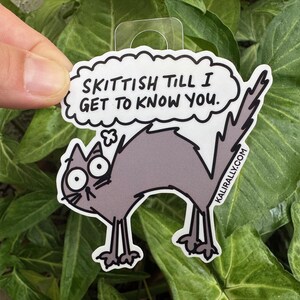 May include: A white sticker with a cartoon gray cat with big eyes and a thought bubble that says "Skiddish till I get to know you." The sticker has the website "kaliraally.com" printed on the bottom right corner.