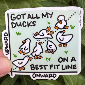 Math Duck Stickers: Funny STEM Science Vinyl Decals Math Stickers Science Stickers STEM stickers lab sticker duck stickers funny stickers