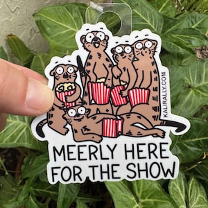 Funny Drama Sticker Meerkat sticker Popcorn Sticker Nature Animal Pun Sticker Pack gift quirky vinyl decal bundle decals novelty zoo joke