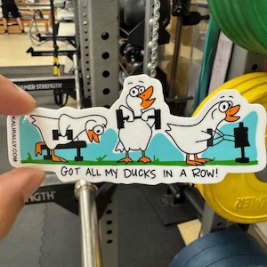 May include: A sticker with a cartoon illustration of three ducks lifting weights. The ducks are white with orange beaks and feet. The text on the sticker reads "Got all my ducks in a row!"