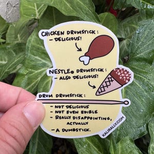 Funny food sticker Fried Chicken Sticker Ice cream sticker Foodie Sticker Pack drummer gift quirky vinyl bundle decals novelty dad joke