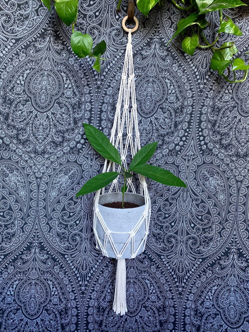 Macrame Plant Hanger Hanging Basket Basket Design Etsy