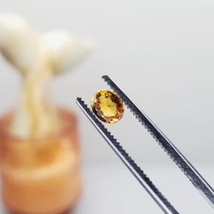 Puede incluir: Una piedra preciosa de color amarillo dorado con corte ovalado sostenida por unas pinzas metálicas dentadas. La piedra presenta una superficie facetada que refleja la luz, mostrando tonos ámbar profundos y amarillos brillantes en su estructura.
