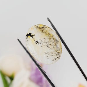 10.60ct Natural Brazilian Panoramic Dendritic Quartz 20x15mm Oval