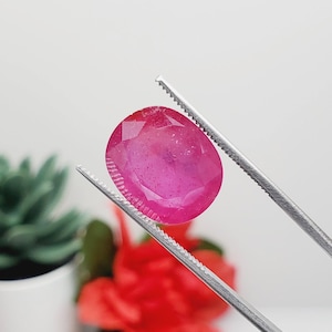 May include: A vibrant, oval-cut pinkish-red gemstone held by silver-toned metal tweezers. The stone features a faceted surface that reflects light, showcasing a deep, saturated color with visible internal inclusions throughout the gem's structure.