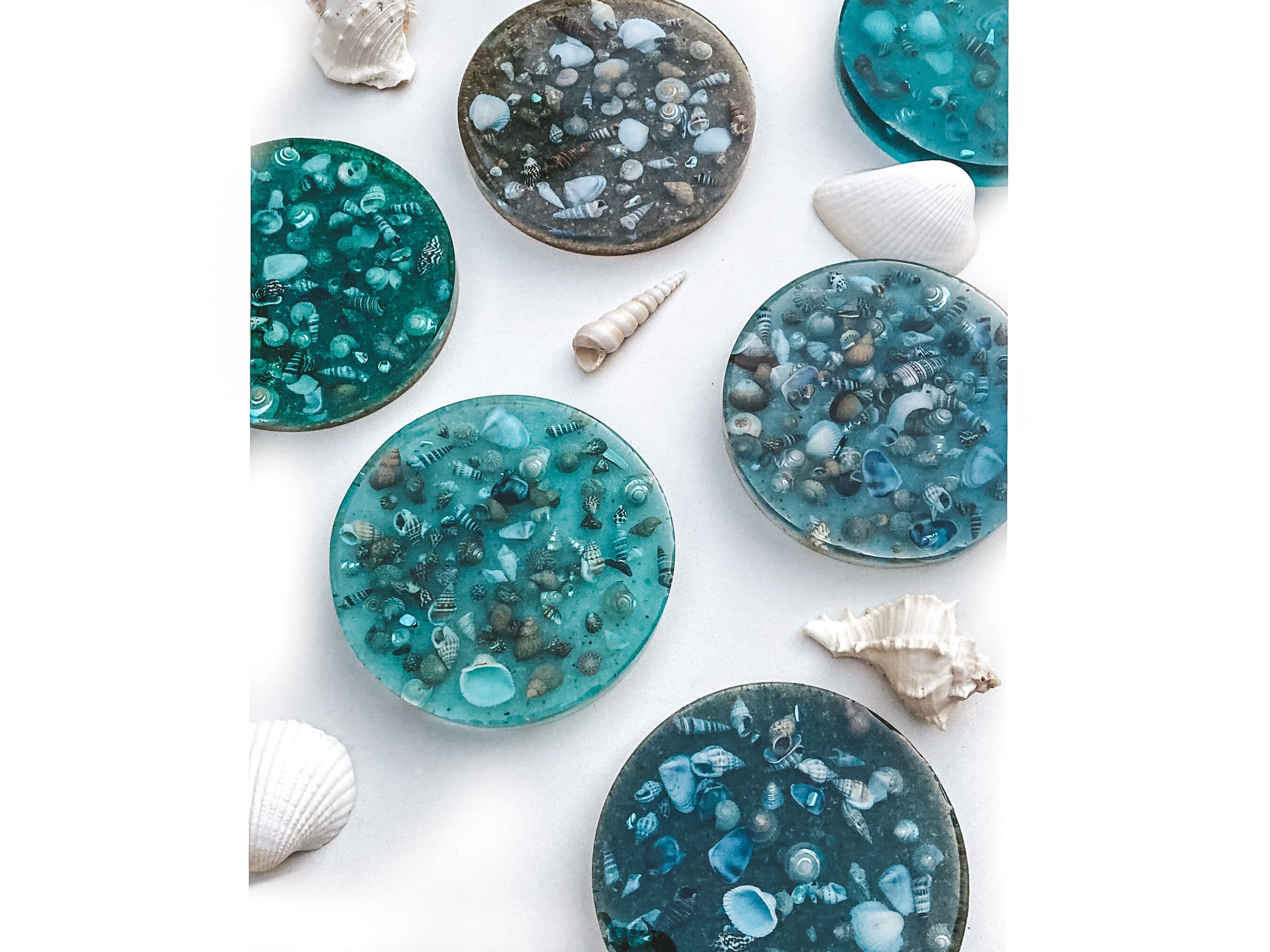 Seashell Resin Coasters Made to Order Etsy