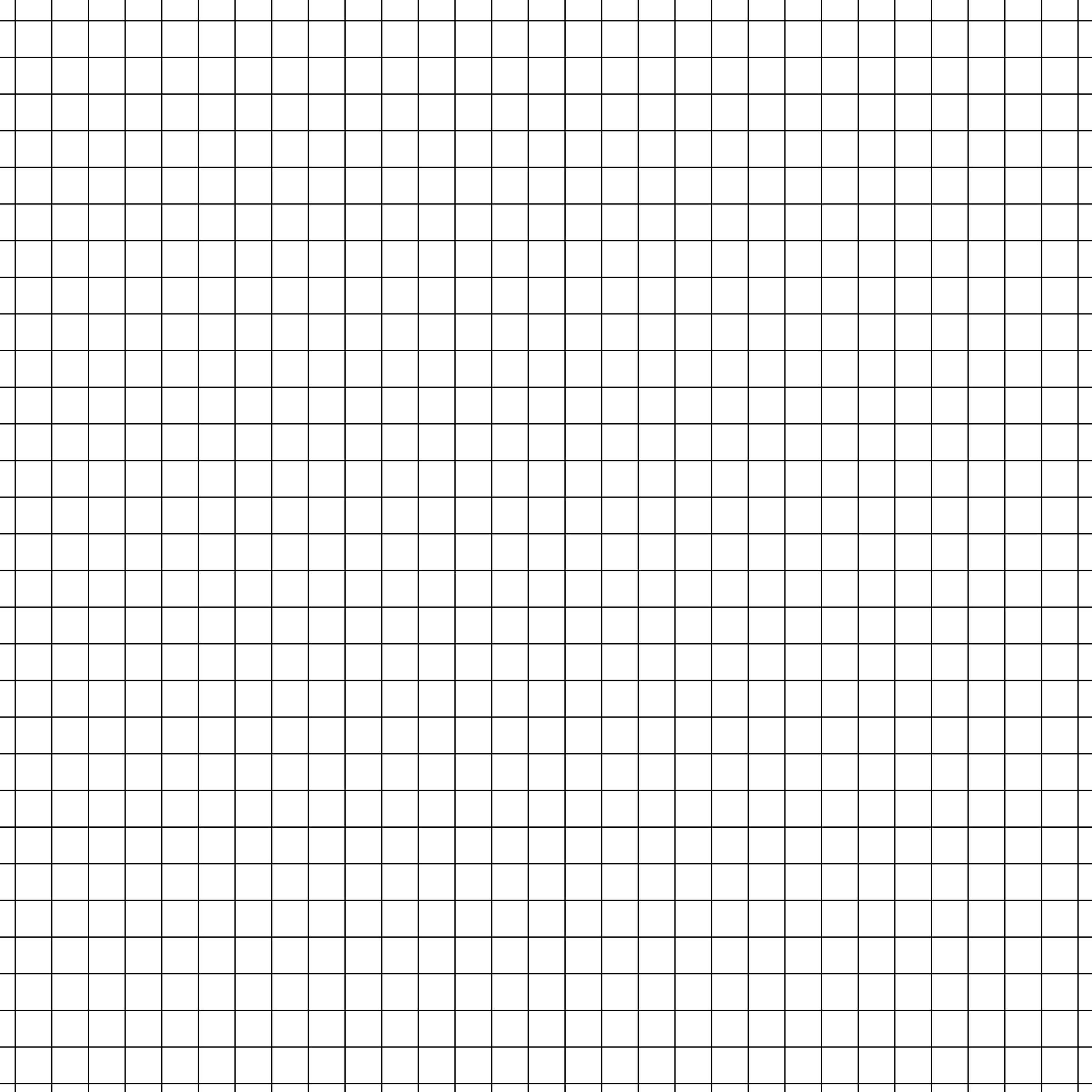 12X12 Graph Paper Printable