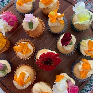 Cupcake floreali colorati