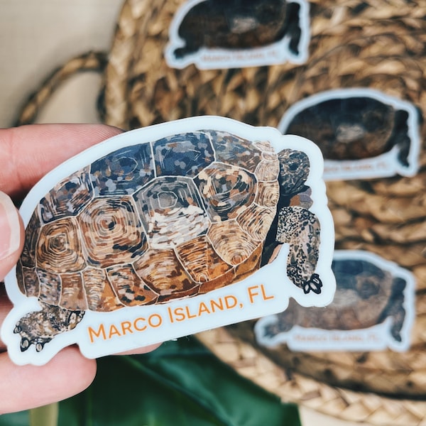 Gopher Tortoise Sticker, Marco Island Sticker, Marco Island Gift, Florida Souvenir, Tortoise gift, Tortoise art, Gopher Tortoise