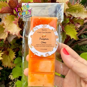 Pumpkin Chai Wax Melt Snap Bar