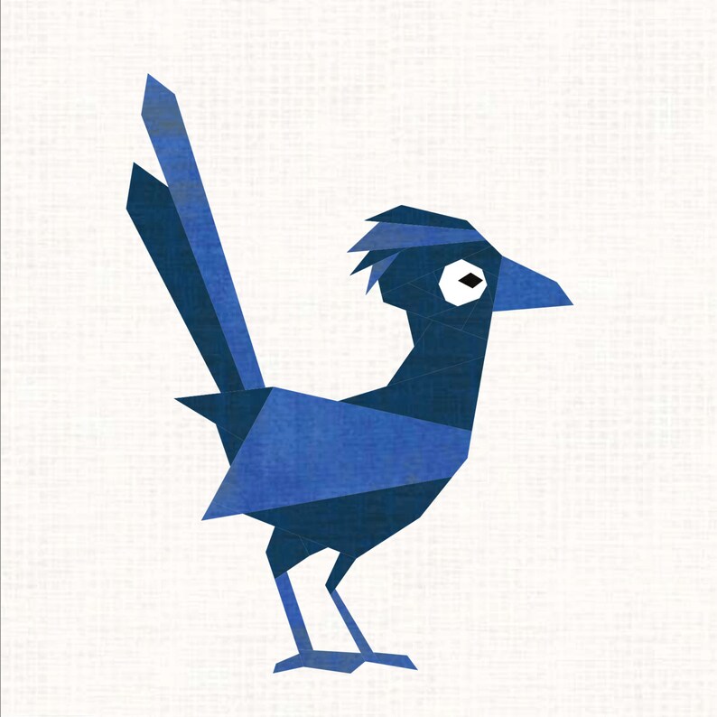 Roadrunner - Foundation Paper Pieced Digital Pattern - Etsy