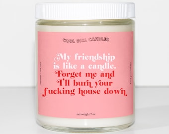 Friendship Candle | Best Friend Gift for Her | Funny Birthday Funny Candles | Self Care Aesthetic Room Decor | Desk Decor | Funny Home Decor