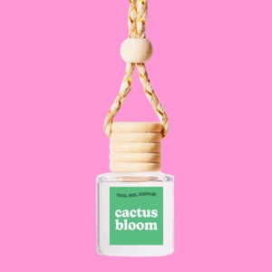 Cactus Bloom Hanging Scented Car Freshener Diffuser, Trendy Gift, New Car Accessory For Her, Gift For Her Cute Car Accessories, New Car Gift