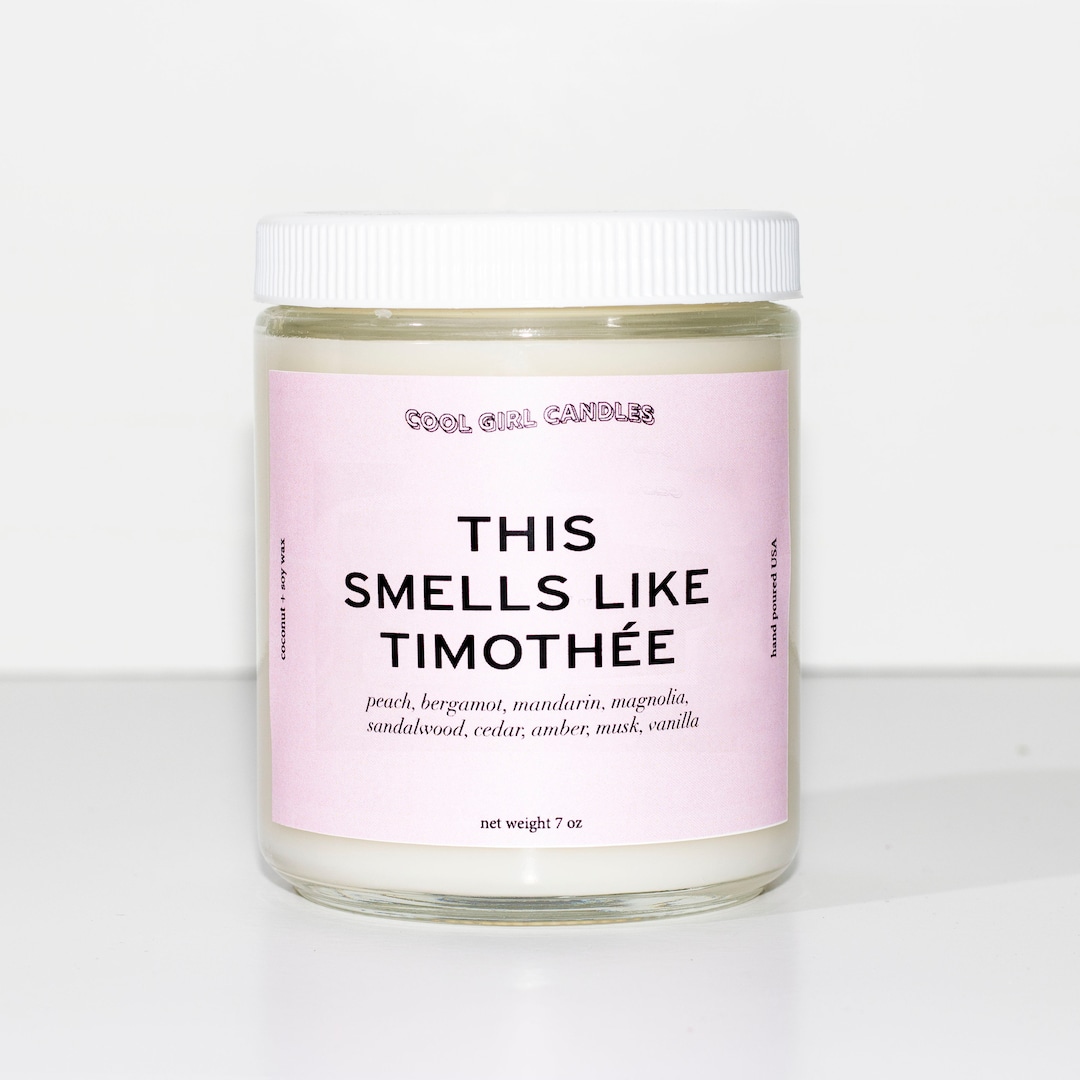 This Smells Like Timothee Chalamet Candle Pop Culture Gifts Etsy