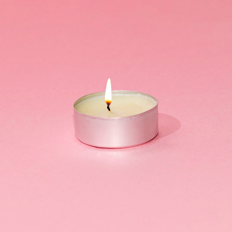 Coworker Gift for Her Office decor Funny Candles Entrepreneur Gift for Girl Boss Motivational Be A Fucking Wolf Candle Best Friend Gift