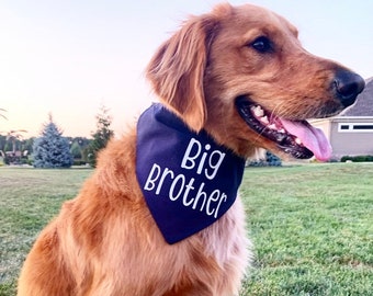 big brother in training dog bandana