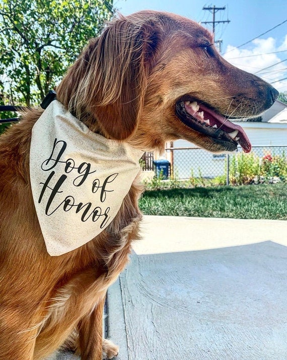 dog of honor wedding bandana