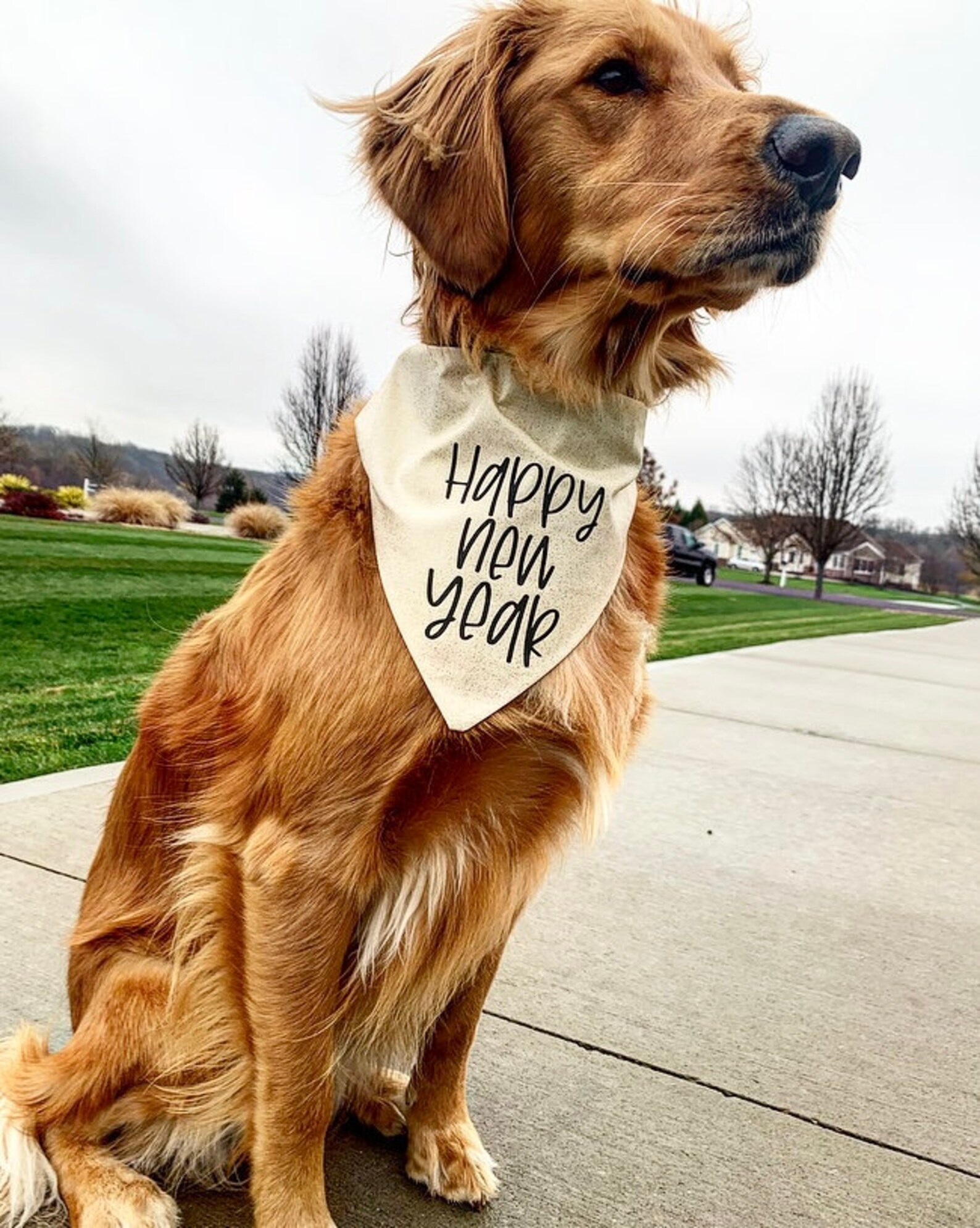 New Year GOLD dog bandana 2021 Happy New Year New | Etsy