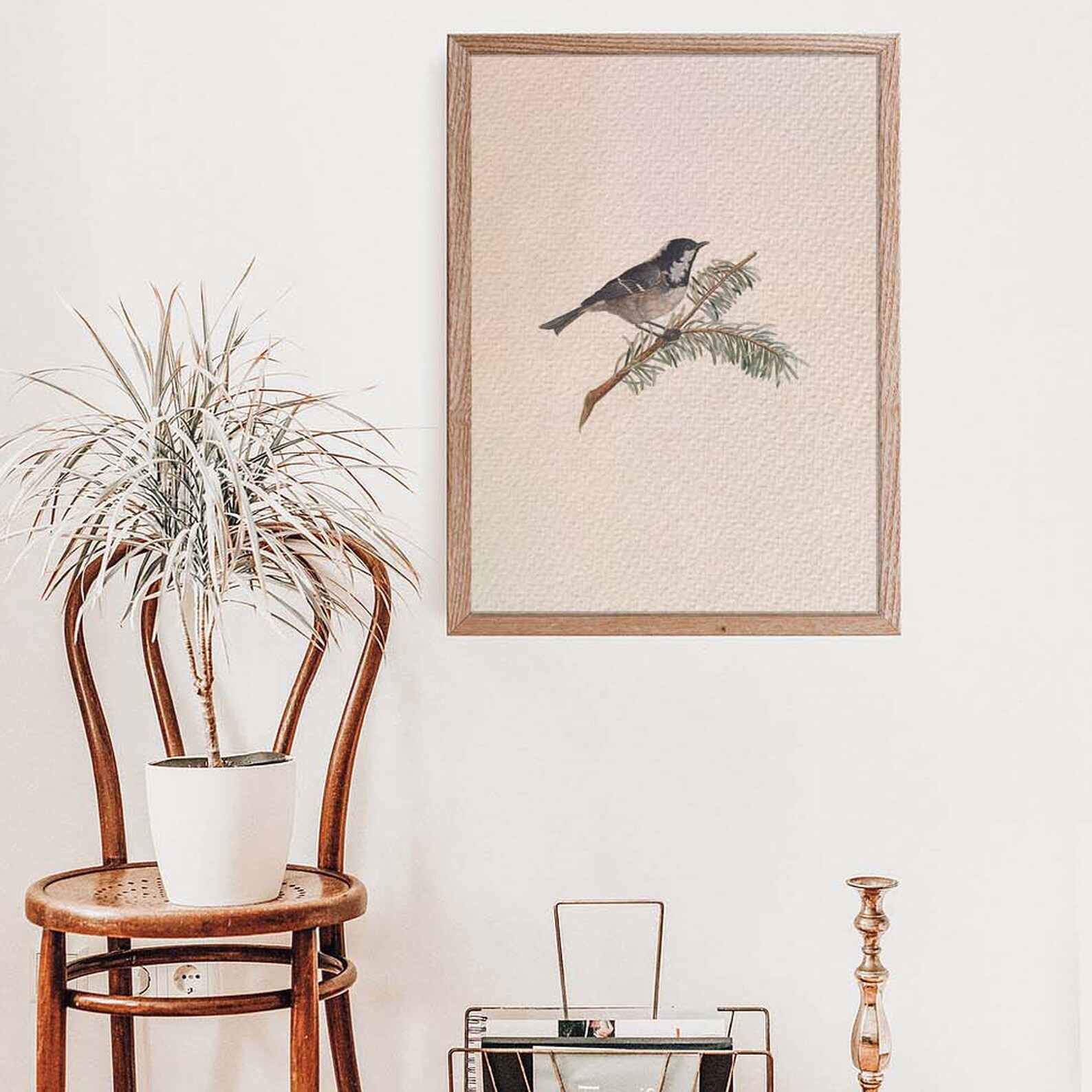 Vintage nature bird print Farmhouse wall decor for living Etsy