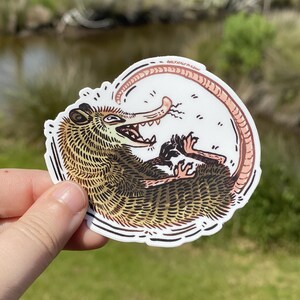 Possum Street Cat Vinyl Sticker