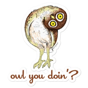 owl you doin&#39;? Bubble-free stickers