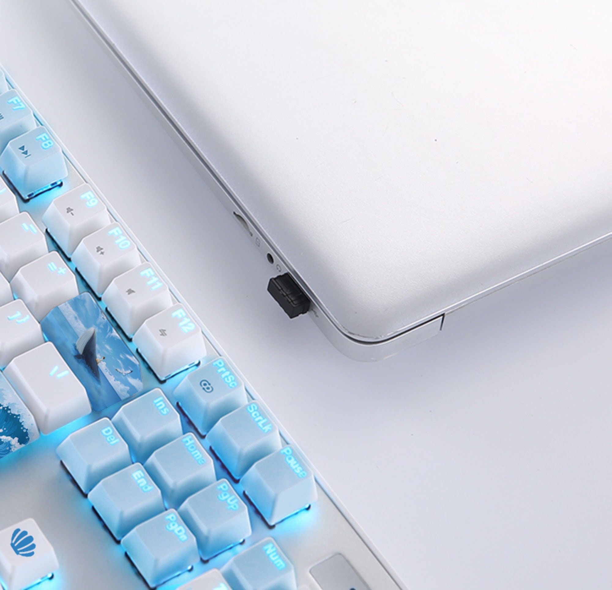 Boy And Whale Mechanical KeyboardGame KeyboardPattern Etsy