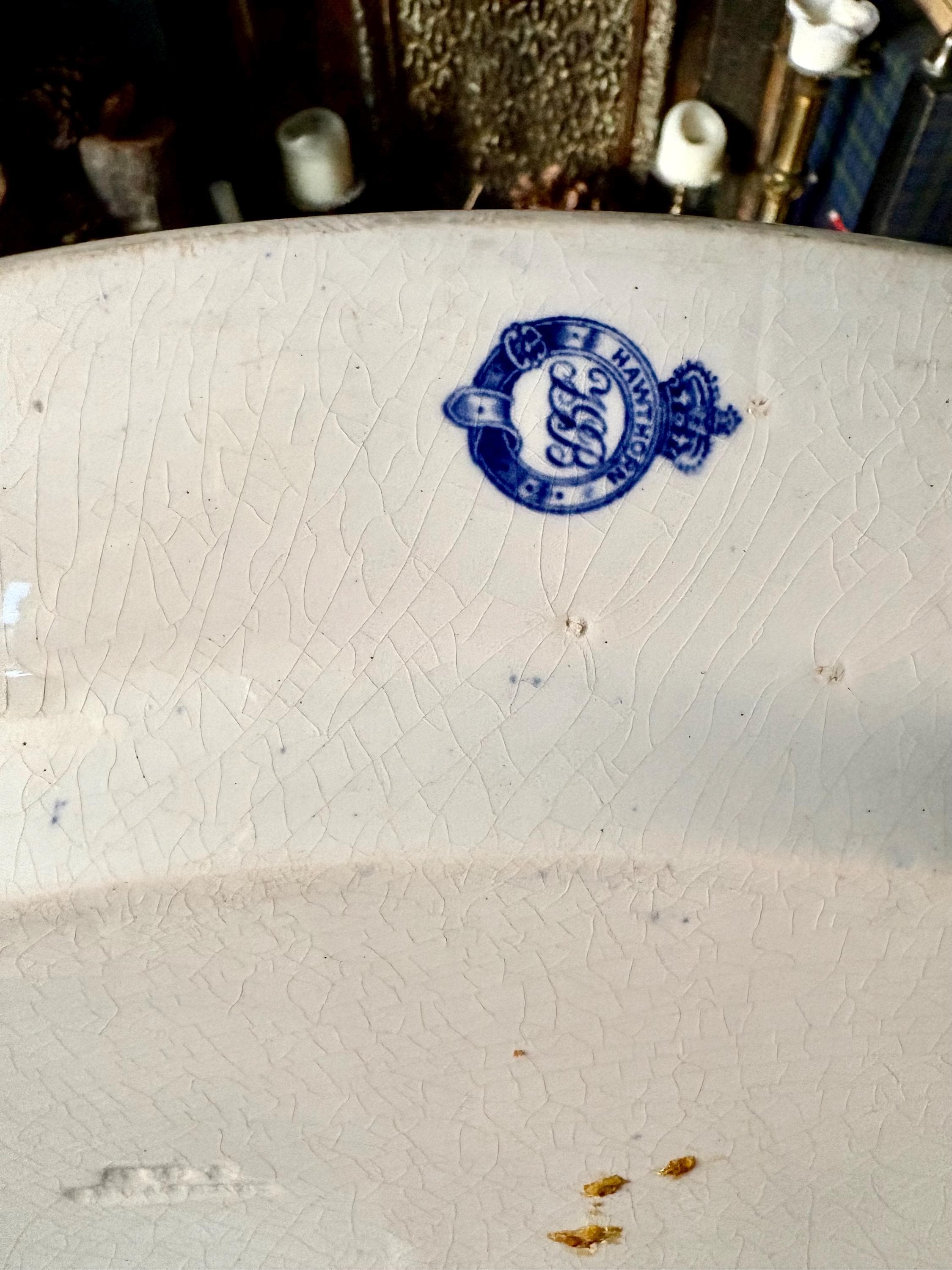 Antique TG Booth “hawthorn” Blue and White Transferware 16.5