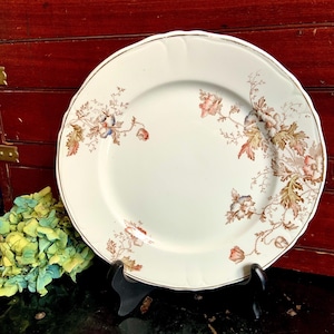 Victorian J & G Meakin Autumn Tints 7.75” Plate