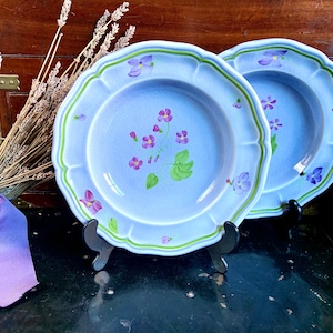 Set of 2 Vintage Longchamp Mon Jardin 8.75” Rimmed Soup Plates
