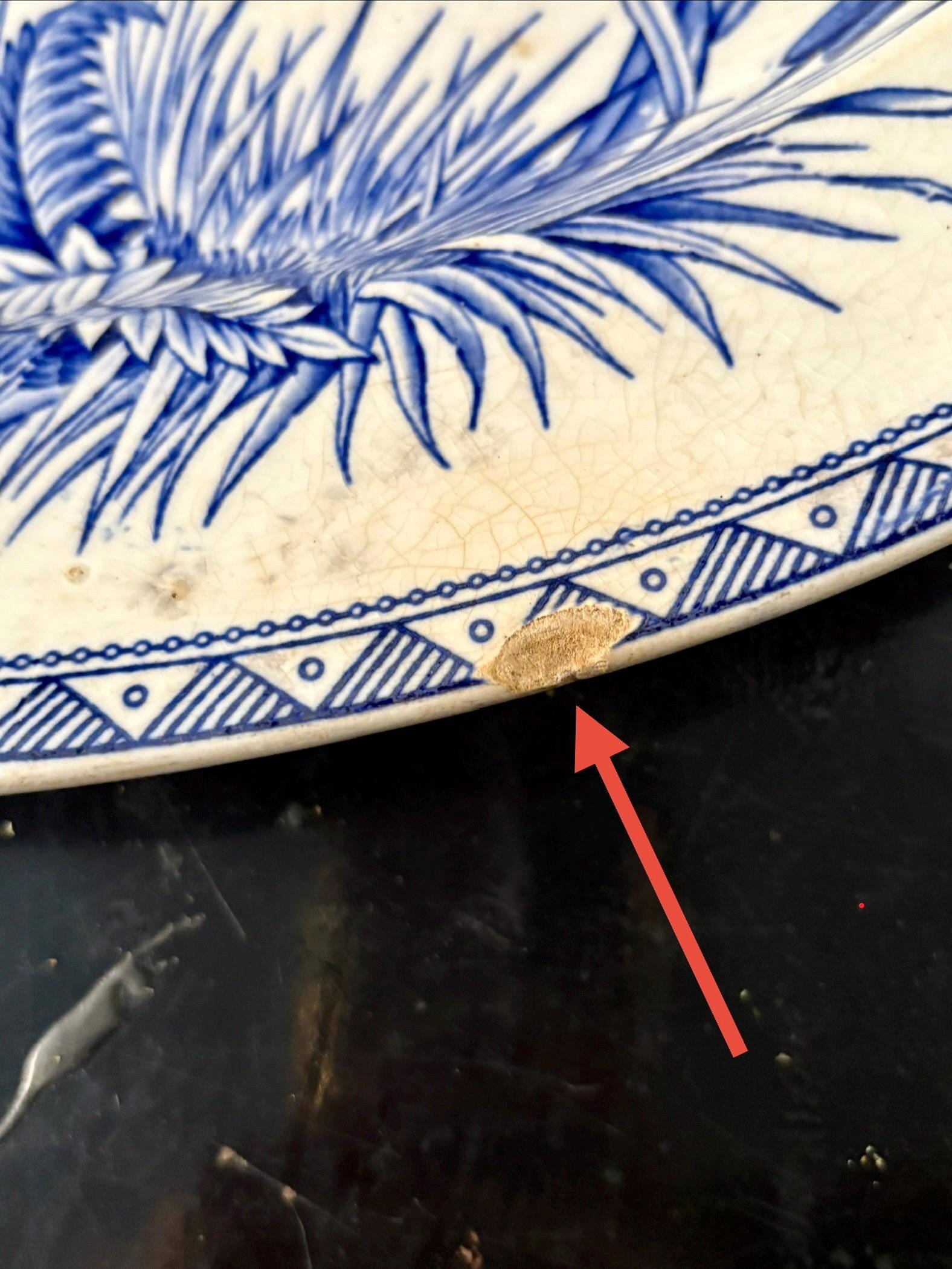 Antique TG Booth “hawthorn” Blue and White Transferware 16.5
