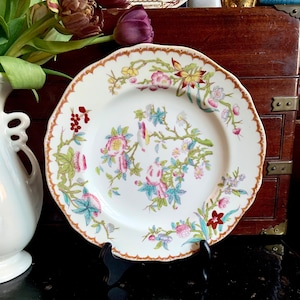 Davis Collamore - Etsy