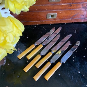 Set of 6 Vintage Knives with Bakelite Handles