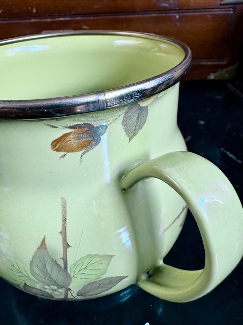 May include: A vintage enamelware pitcher in a pale green hue, adorned with floral and leaf motifs in muted tones. The pitcher features a silver rim and a curved handle, showcasing a classic design. This piece is ideal for kitchen decor.