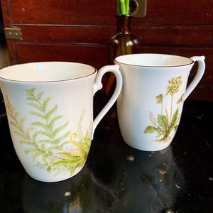 Set of 2 Vintage Royal Kendal Staffordshire Bone China Mugs