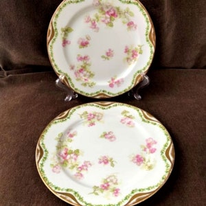 Set of 2 Vintage Haviland & Co. Limoges Salad Plates - One Chipped